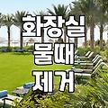 공공시설과 가정 화장실 청소 관리의 차이점과 현실적인 팁