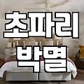 집안에 갑자기 늘어난 초파리 확실하게 퇴치하는 방법