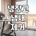 냉장고 속 묵은 냄새, 어떻게 잡아야 할까? 전문가 vs 자가 진단 솔직 후기
