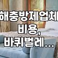 우리 집 벌레, 냄새… 직접 해결 vs 업체 도움, 현실적인 고민과 선택