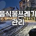 집에서 음식물 쓰레기 냄새와 벌레를 줄이는 현실적인 방법