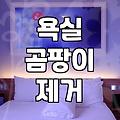 화장실 청소업체, 부르는 게 답일까? 30대 직장인의 현실적인 고민