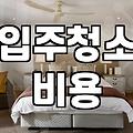 결국 청소 업체를 부르기로 마음먹기까지