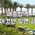 돈벌레를 보고 결국 방역 업체를 부르기로 마음먹기까지