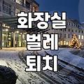 화장실에서 이상한 벌레가 나와서 고민하던 날
