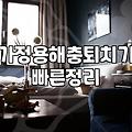 집안 곳곳에서 나타나는 쥐며느리와 바퀴벌레 효율적으로 대처하는 법