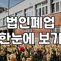 법인 폐업과 개인회생 사이, 30대 실무자의 솔직한 고민