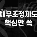 개인회생면책신청 요건과 실무상 주의사항