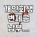 개인회생 수임료 분납과 신청 전 따져봐야 할 현실적인 문제들