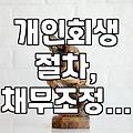 법률 전문가 없이 개인회생? 현실적인 고민과 고려사항