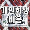 개인회생과 워크아웃의 차이와 실무적인 고려사항