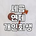 세금 밀린 거 개인회생으로 해결하려다가… 생각보다 복잡했네요