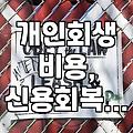 채무 조정과 개인회생 신청 시 현실적으로 고려해야 할 점들