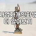 사업하다 망해서 개인회생 알아봤는데, 이거 진짜 보통일이 아니네