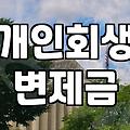 개인회생, 교과서 같은 조언 말고 현실적인 고민들