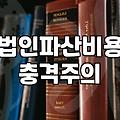 법인 청산과 파산 사이, 현실적인 고민과 비용의 실체