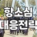 항소심을 고민하는 당신에게: 변호사 선임과 현실적인 대응 전략