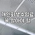 20대 도박빚과 개인회생, 현실적인 고민의 기록