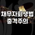 개인회생 신청해도 사라지지 않는 비면책채권 종류와 대응 전략