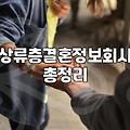 노블레스레드와 같은 상류층 결정사 이용 전 알아야 할 현실적인 부분들