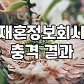 이혼 후 새로운 인연을 찾을 때 고려해야 할 현실적인 준비들