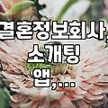결혼정보, 어디까지 믿어야 할까? 현실적인 고민들