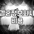 요즘 소개팅과 결혼 정보 서비스의 현실적인 분위기
