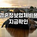 결혼정보회사 가입을 고민하는 30대의 현실적인 손익 계산서
