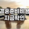 막상 시작해보니 만만치 않은 결혼 준비 현실