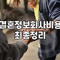 결정사, 얼마나 들까? 현실적인 가입 비용과 솔직한 후기