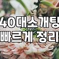 소개팅카페 이용 시 주의할 점과 실제 만남의 특징