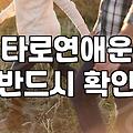 타로와 사주, 그 모호한 경계에서 30대가 배운 것들