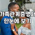 혼인정보 증명서류 준비 시 주의해야 할 점과 실질적인 확인 절차