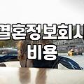 좋은 배필을 만나는 일은 운일까 아니면 노력일까