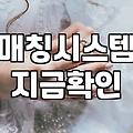 결혼정보사 가입 전 반드시 알아야 할 현실적인 조언