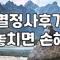 결혼정보업체, 실제로 얼마나 많은 커플을 이어줄까? 성혼 사례와 현실적인 부분들