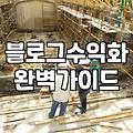 블로그로 돈을 벌겠다는 환상과 그 이면의 현실