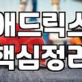 애드릭스 관리 페이지 들어가려다 보안 경고만 몇 번을 봤는지 모르겠다
