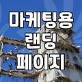 마이크로사이트 구축, 과연 돈값을 할까? 현실적인 고민들