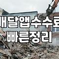 배달 앱 의존도가 높은 매장의 현실적인 생존 전략