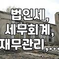 법인 운영 시 알아두면 좋을 세무 이슈들: 횡령, 가상자산, 세무조사 대비