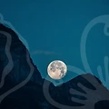 2023년, 당신의 띠별운세는?✨
