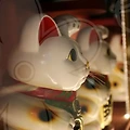 타로 마스터 자격증으로 나만의 길을 찾자! 🔮✨