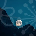 사주풀이와 함께하는 업소용품 이야기: 당신의 주방 꿈을 현실로!