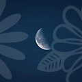 전화 타로의 비밀, 궁금한 사람의 마음을 열다!