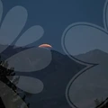 사주풀이와 점잘보는곳, 당신의 운명을 밝혀줄 똑똑한 선택!