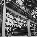 미술품 경매: 그림경매사이트에서 고미술의 매력을 느껴보세요!