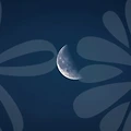 고양시점집에서 신년운세를 점쳐보세요!✨