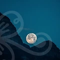 화상심리상담으로 나 자신을 찾아가는 방법✨