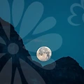 유명무당과 사주풀이: 당신의 운명을 읽는 열쇠🗝️